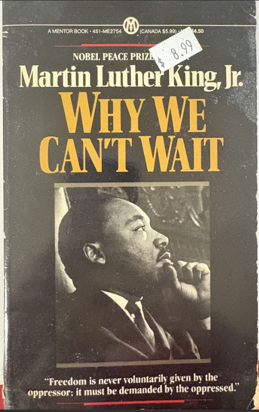 Why We Can't Wait 